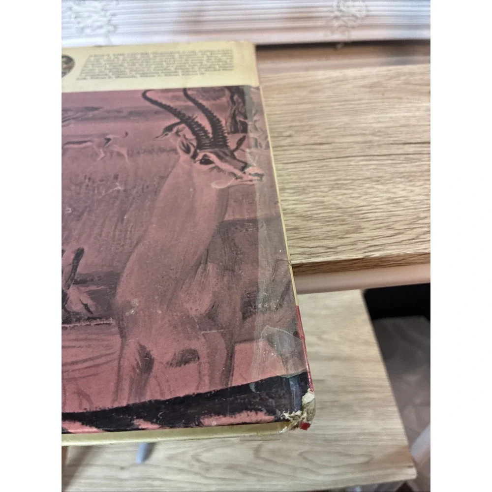 N/A golden book